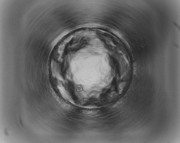 X0000100491229200806271229