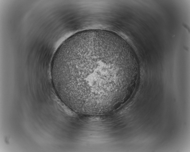 X0000100491230200806271229