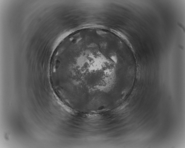 X0000100491231200806271229