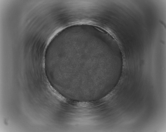 X0000100491232200806271229