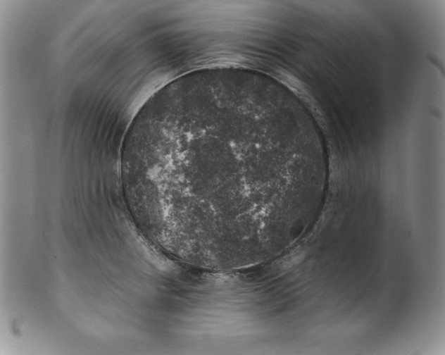 X0000100491234200806271229