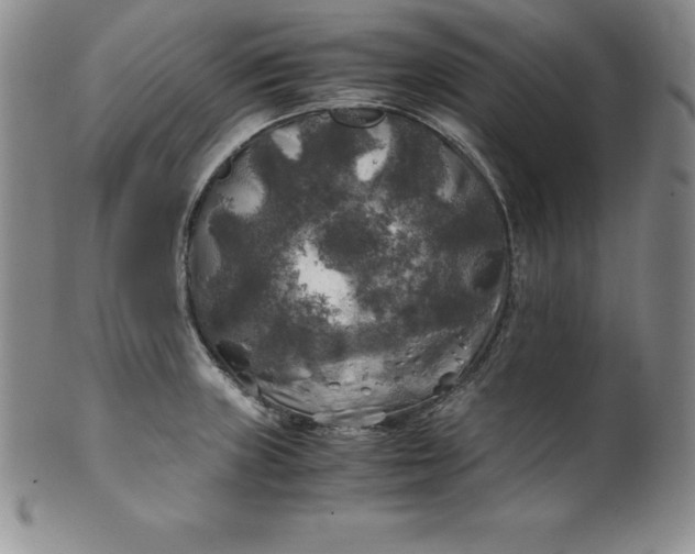 X0000100491235200806271229