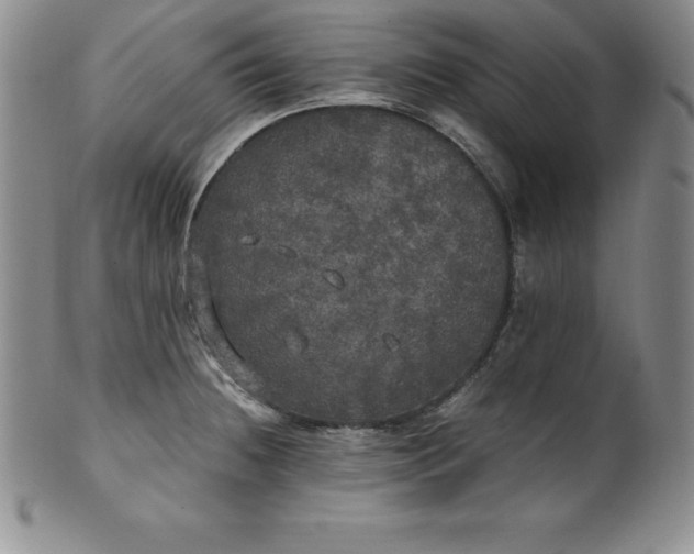 X0000100491236200806271229