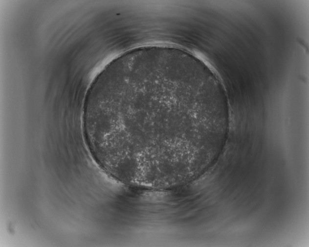 X0000100491237200806271229