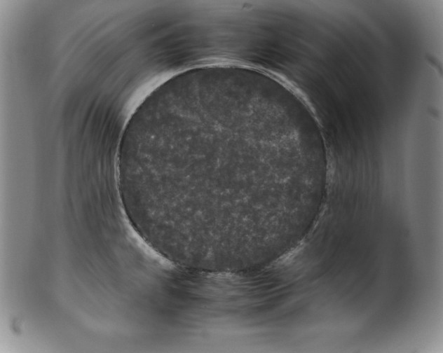 X0000100491239200806271229