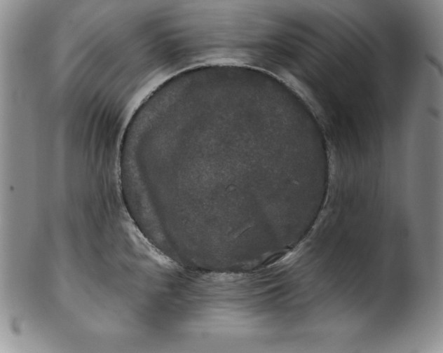 X0000100491240200806271229