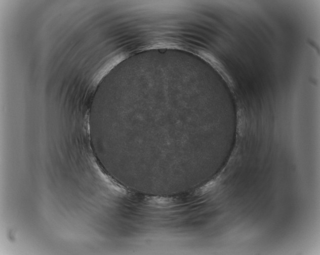 X0000100491241200806271229