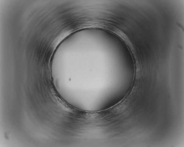 X0000100491242200806271229