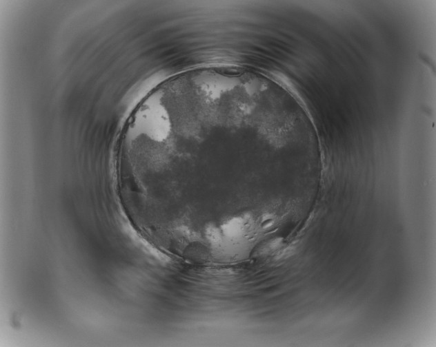 X0000100491243200806271229