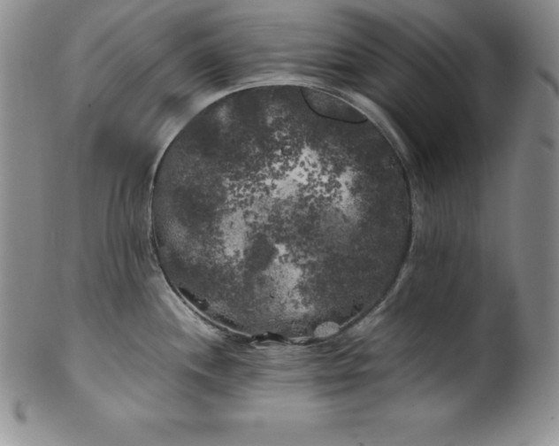 X0000100491244200806271229