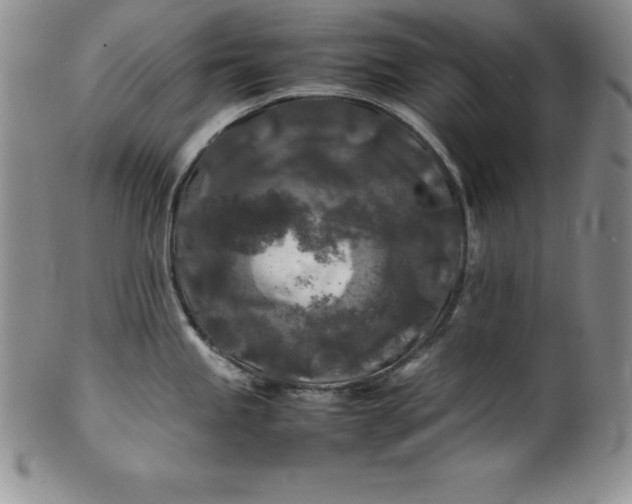 X0000100491245200806271229