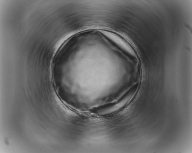 X0000100491246200806271229