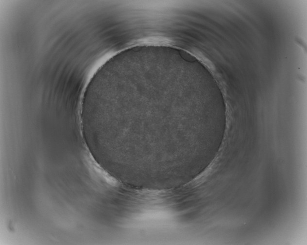 X0000100491248200806271229