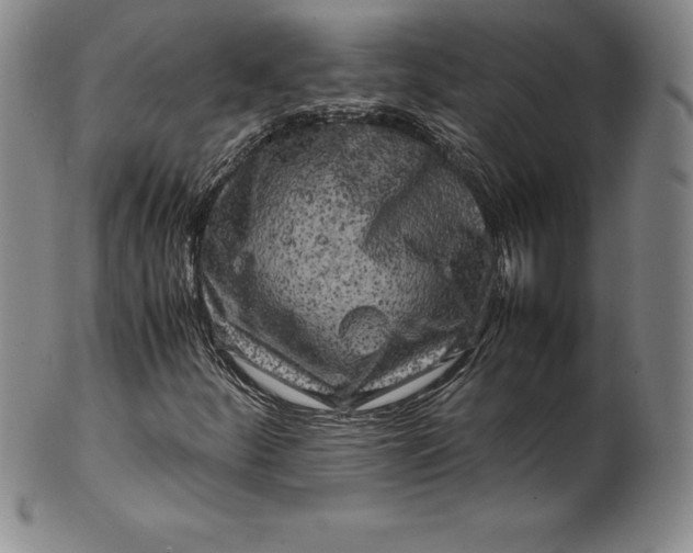 X0000100491252200806271229