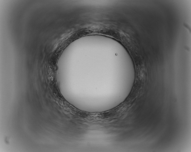 X0000100491253200806271229