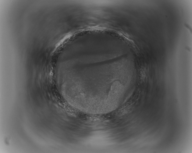 X0000100491254200806271229