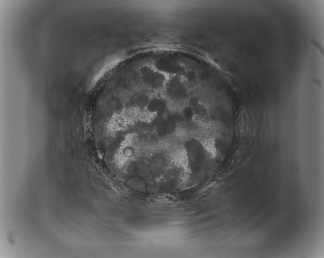 X0000100491255200806271229