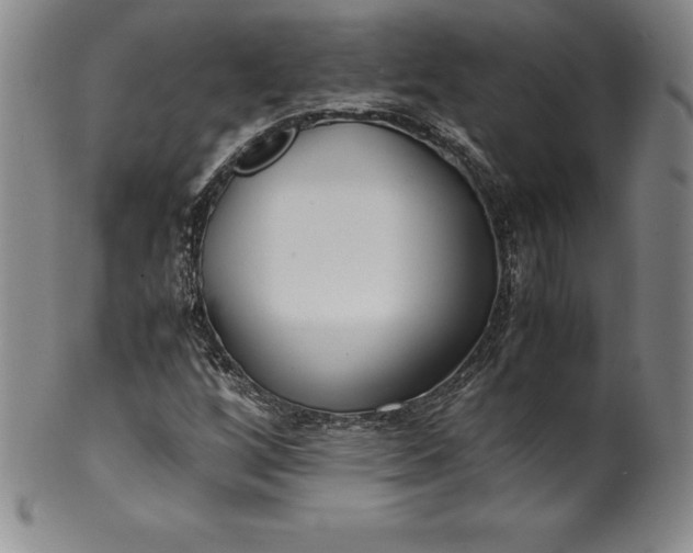 X0000100491256200806271229