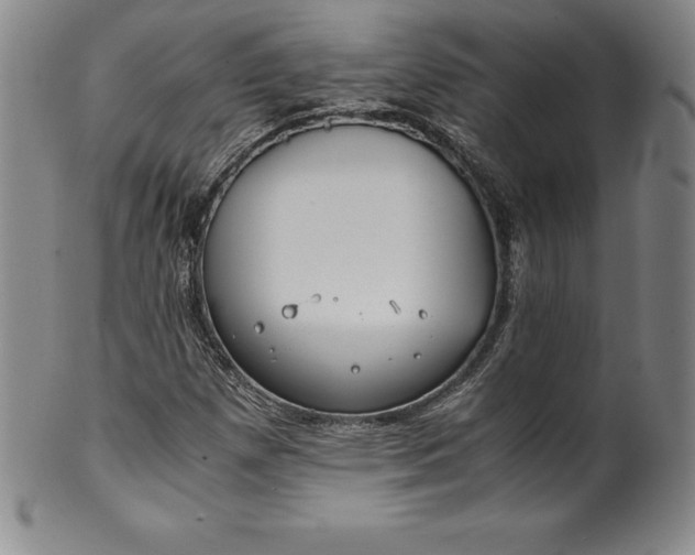 X0000100491257200806271228