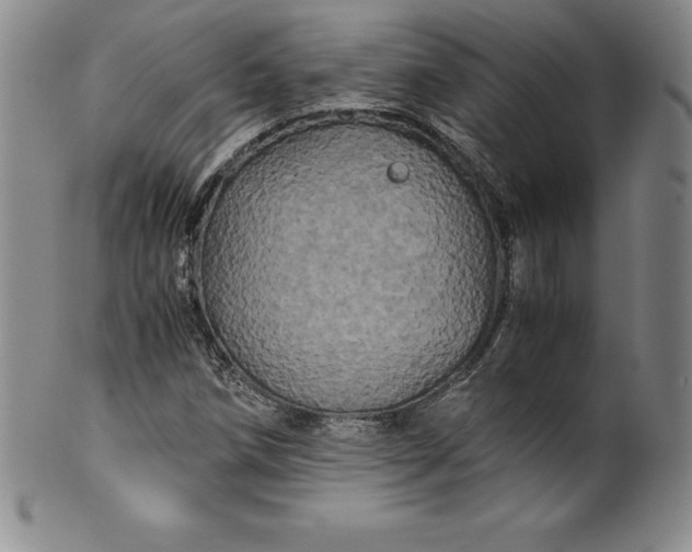 X0000100491258200806271228