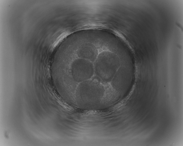 X0000100491259200806271228