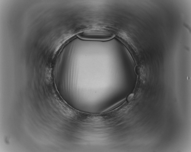 X0000100491260200806271228