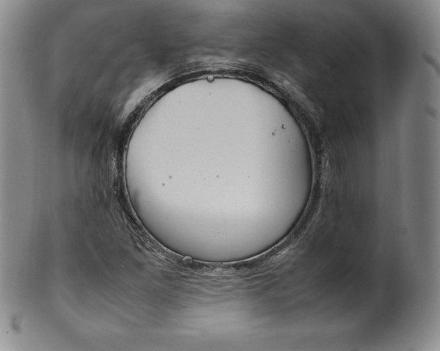 X0000100491261200806271228