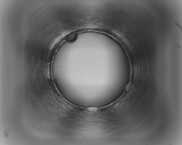 X0000100491262200806271228