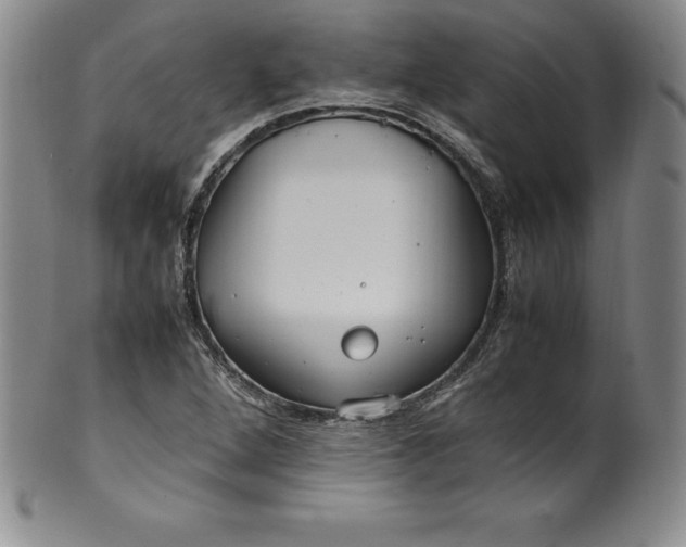 X0000100491264200806271228