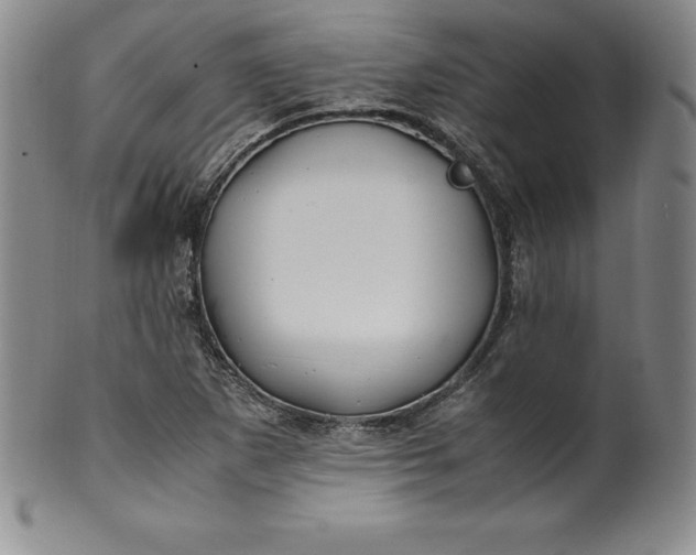 X0000100491265200806271228