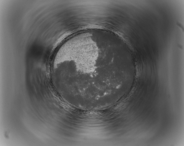 X0000100491266200806271228