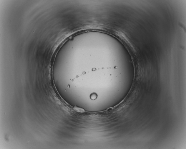 X0000100491268200806271228