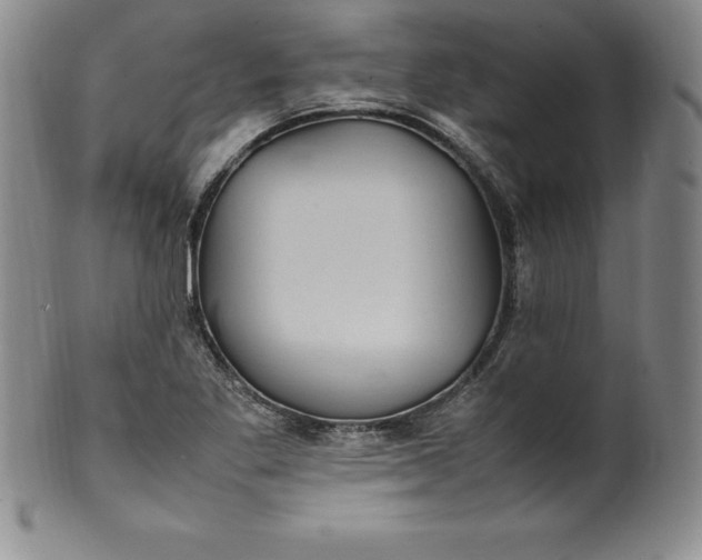 X0000100491269200806271228