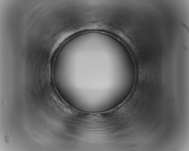 X0000100491270200806271228