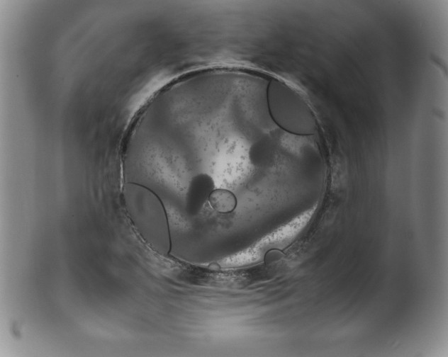 X0000100491271200806271228