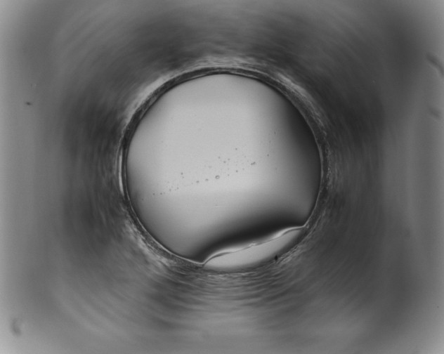 X0000100491272200806271228