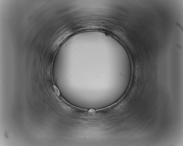 X0000100491273200806271228