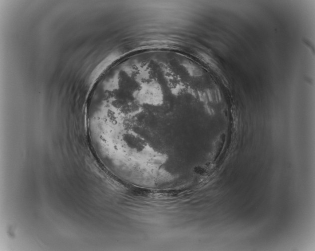 X0000100491275200806271228