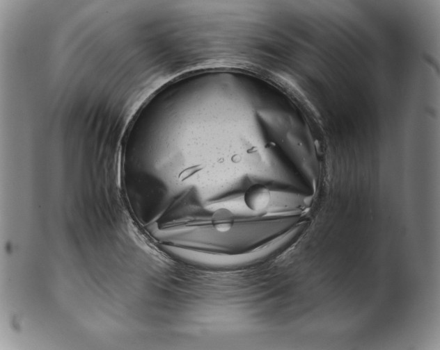 X0000100491276200806271228