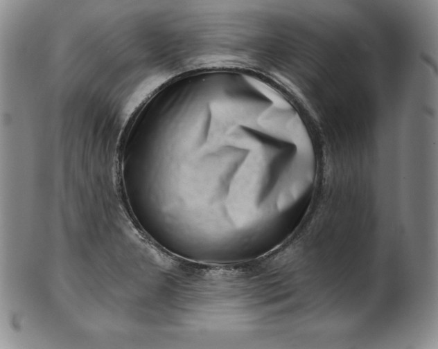 X0000100491277200806271228