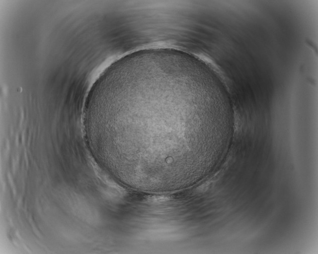 X0000100491278200806271228