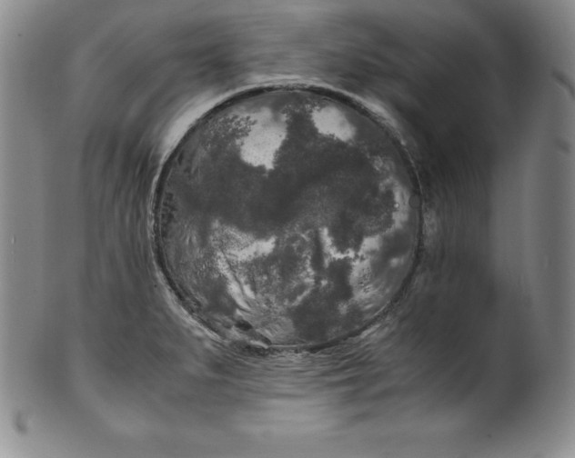 X0000100491279200806271228