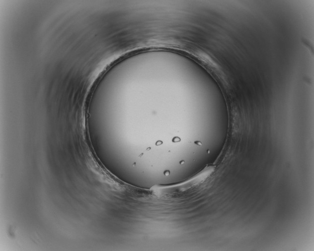 X0000100491280200806271228