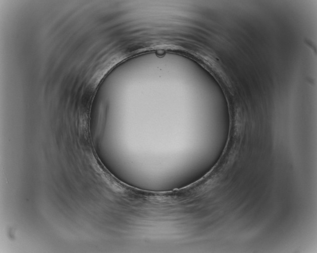 X0000100491281200806271228