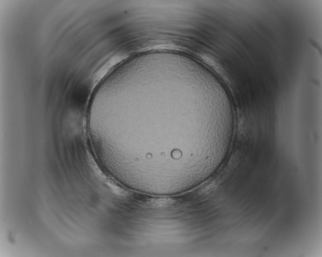 X0000100491282200806271228