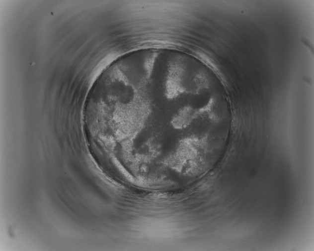 X0000100491283200806271228