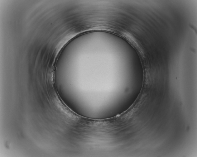 X0000100491284200806271228