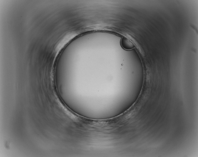 X0000100491285200806271228