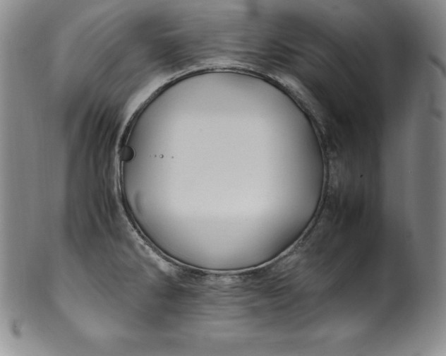 X0000100491286200806271228