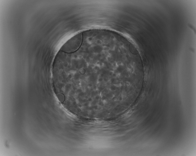 X0000100491287200806271228